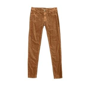 American Eagle and Brown Corduroy Skinny Pants jegging